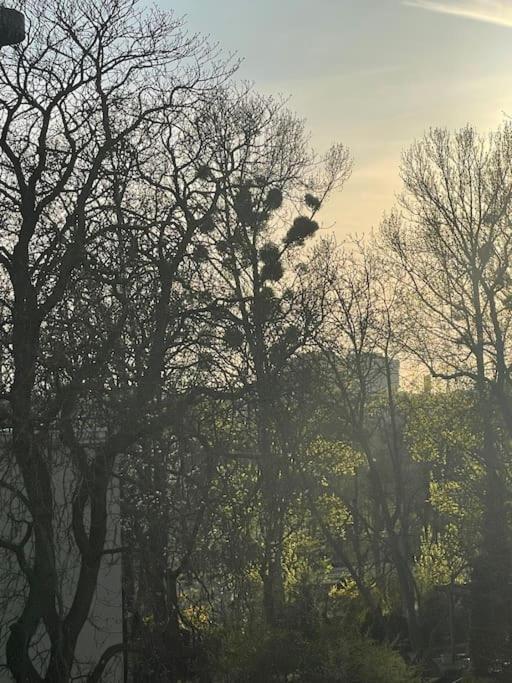Stilvolles Augarten Refugium Βιέννη Εξωτερικό φωτογραφία